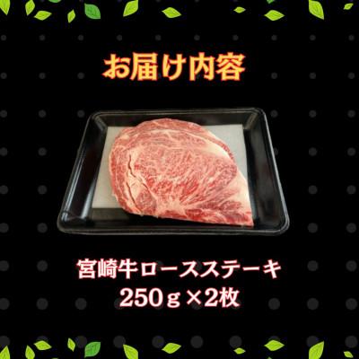 ふるさと納税 串間市 宮崎牛ロースステーキセット 計500g (250g×2)(串間市)