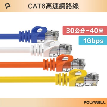 CAT6 高速網路線 30公分~40米 CAT.6 網路線 RJ45 福祿克認證