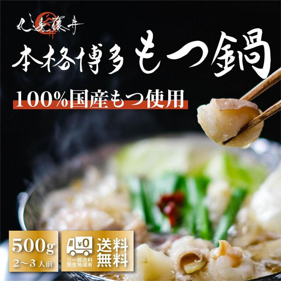 もつ鍋セット お中元 プレゼント お中元 醤油 味噌 スープ 国産 ホルモン 締めの麺 祝い ギフト 贈り物 お歳暮 寿 誕生日 高級 500g 2〜3人前