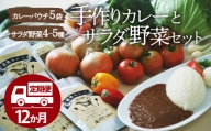 手作りカレーとサラダ野菜セット（年間パスポート）