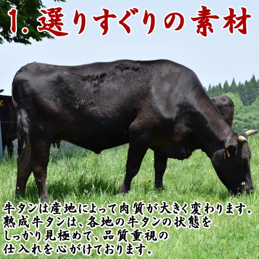 牛タン 200g 三陸宮古の塩 厚切り 熟成牛タン スライス 味付 仙台 牛たん 1.5〜2人前 手切り 送料無料