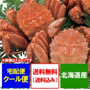 北海道 毛ガニ 送料無料 浜茹で 毛がに 1kg 1000g )×2尾 毛蟹 特大 北海道産 毛ガニ 毛蟹 けがに ギフト 魚介類 カニ 毛ガニ