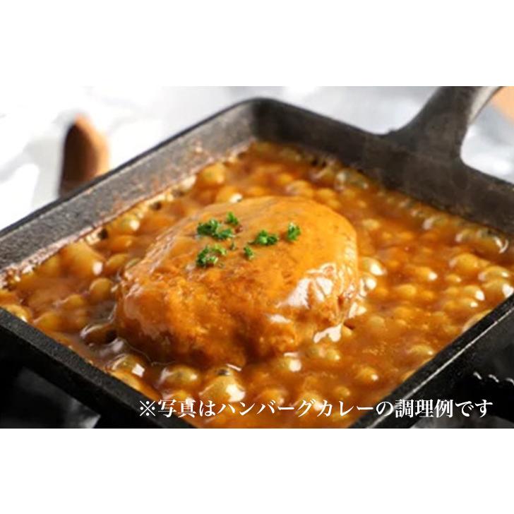 宮崎県産 牛丼とカレーのお試し３種類セット 国産 レトルト おかず 常温保存