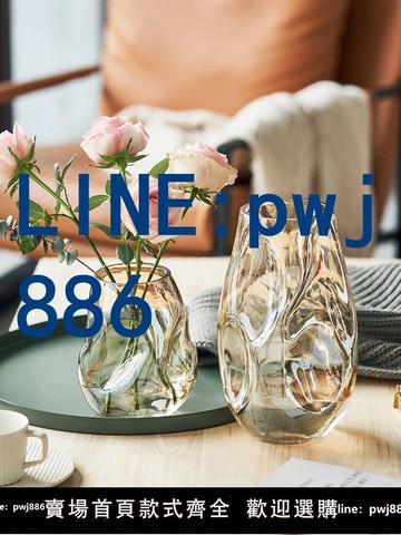 【店家補貼】高級感不規則花瓶玻璃透明水培插花玫瑰百合客廳餐桌藝術擺件網紅