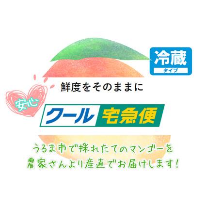 ふるさと納税 絶品！うるマルシェ厳選完熟マンゴー 約2kg　マンゴー　沖縄　うるま市　アップルマンゴー　アーウィ.. 沖縄県うるま市