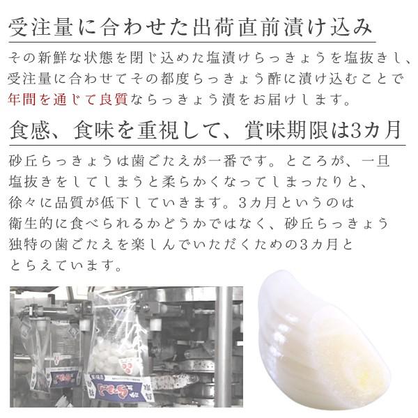 砂丘らっきょう漬け 鳥取県福部町産 ギフト向け樽箱入1.2kg 無添加 国産 送料無料（北海道・沖縄を除く）