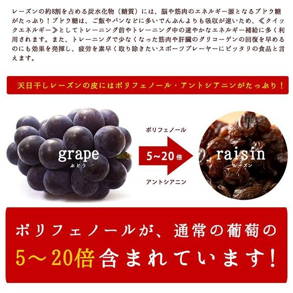 ドライフルーツ レーズン 麗しのレーズン ノンオイル 850g 無添加 訳あり 無選別 不揃い カリフォルニア 送料無料 干しぶどう