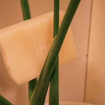 【Sakido】 晨凈暖陽 馬油洗衣皂