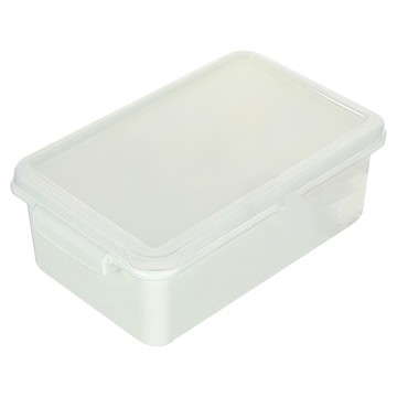 KEYWAY 小島零下30°C保鮮盒  1個  1個  4.5L