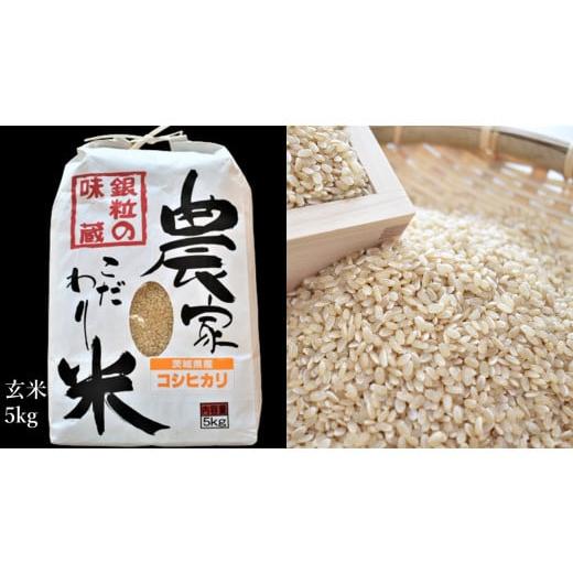 ふるさと納税 茨城県 鉾田市 安定の美味しさ　鉾田市産コシヒカリ　玄米5kg