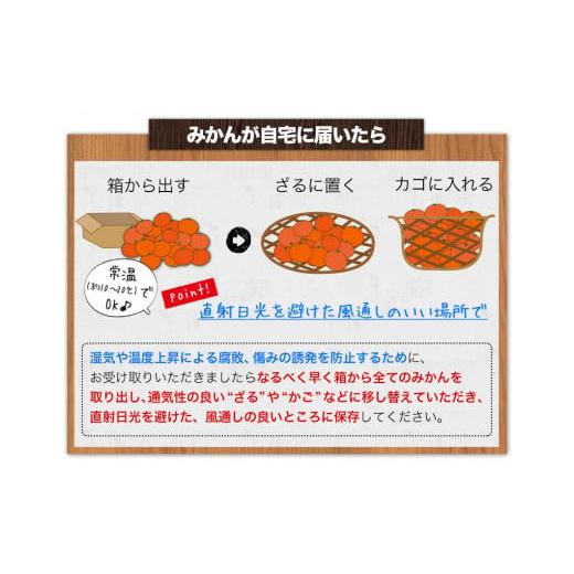 ふるさと納税 和歌山県 日高川町 温州 みかん (樹熟) 約 7.5kg JA紀州産直店 さわやか日高（日高川町）日高川町・御坊市産《2023年12月上旬-2024年1月上旬頃出…