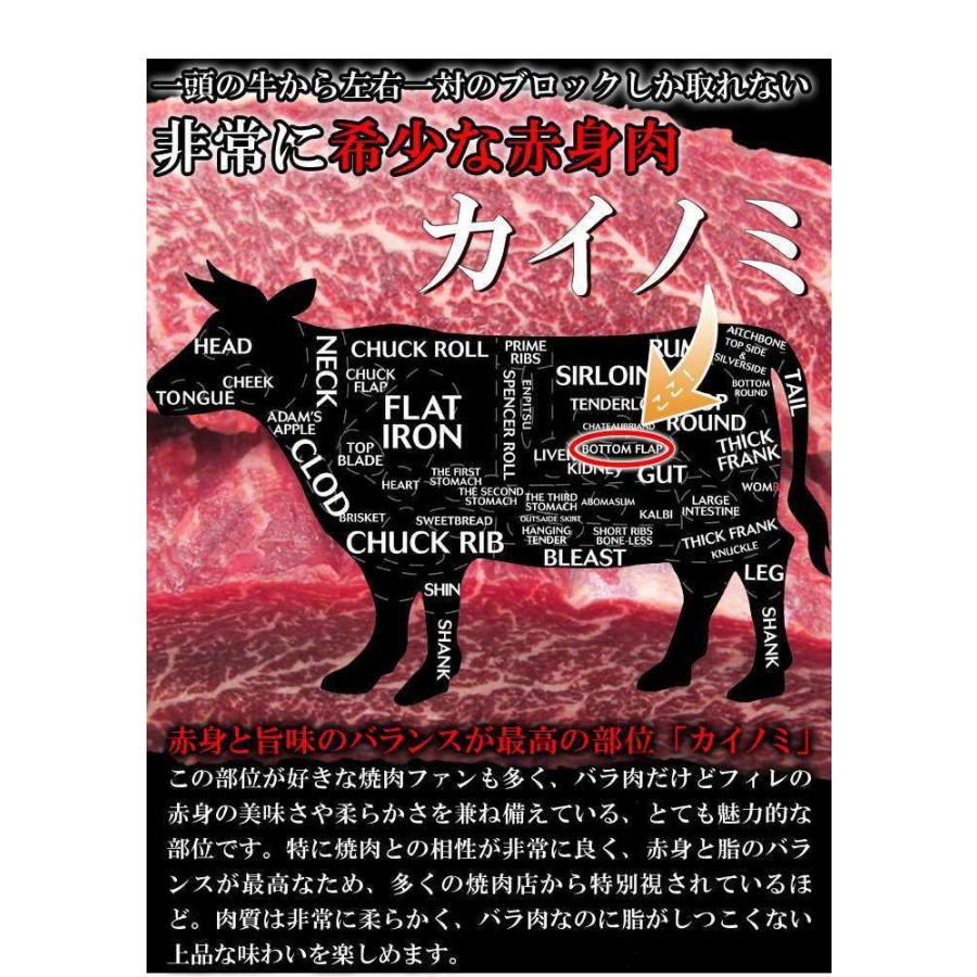 希少部位「カイノミ」100％使用!!国産牛BBQステーキ串約60g×5本（約300g）