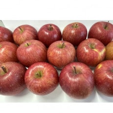 りんご(サンフジ)約5kg(16個～20個入り)