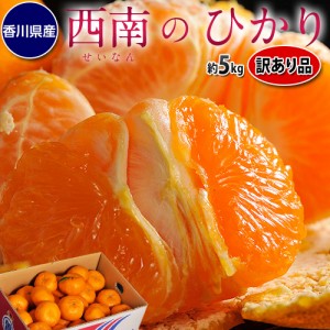 訳あり品 『西南のひかり』 香川県産 柑橘 約5kg S～2Lサイズ ※常温 送料無料