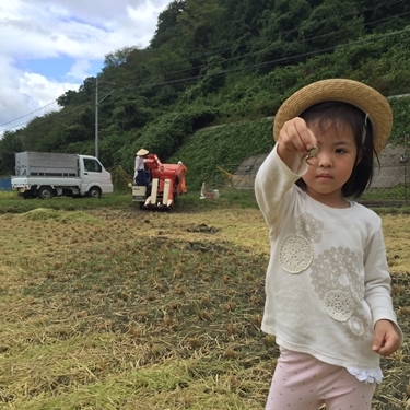 定期便 １２ヶ月 食味値 80点以上 にじのきらめき お米 精米 ３kg 月１回 ／ 民ちゃん 農園 ふるさと納税 こめ キャンプ 有機 肥料 極上 おいしい米 ミネラル 奈良県 宇陀市 大和 高原