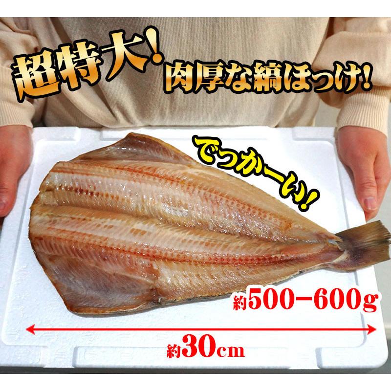 縞 ホッケ 干し 超特大 2枚セット 500-600ｇ程度×2枚入り 個別真空パック 送料無料 冷凍 ほっけ 開き縞ホッケ 干物 ギフト