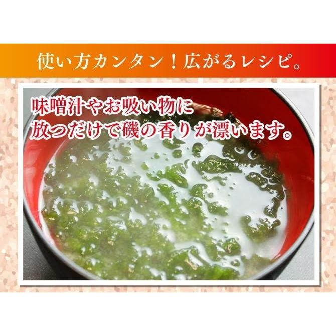 伊勢志摩産 あおさ海苔30g _送料無料 無添加 海藻 乾燥 青のり ぽっきり 母の日 父の日 ポイント消化 得トクセール