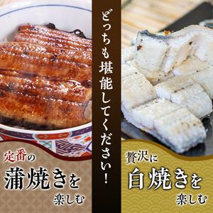 ふるさと納税 うなぎ 浜名湖 特撰 ウナギ 白焼き 5尾 国産 鰻 浜名湖うなぎ たれ セット 白焼 真空パック 惣菜 おかず ごはんのお供 魚 魚介 魚.. 静岡県湖西市