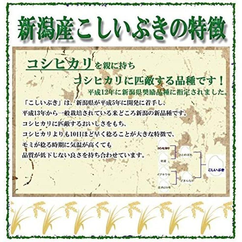 玄米 令和4年産 新潟県産 こしいぶき 25kg 安心安全な特別栽培米 玄米