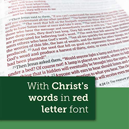 Life Application Study Bible: New Living Translation, Red Letter Edition