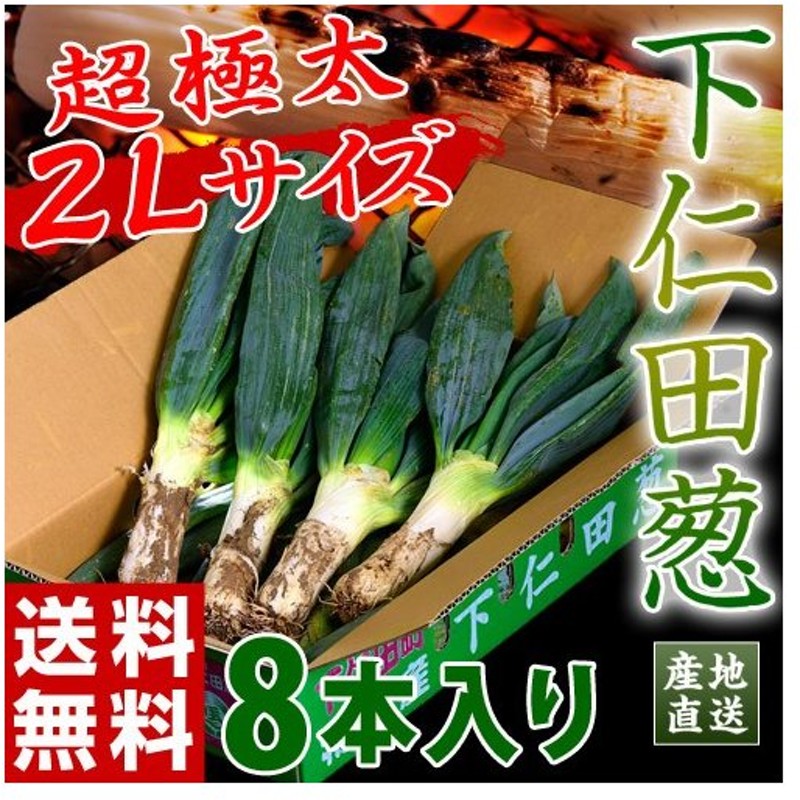 無料長期保証 静岡産 メネギ 芽ねぎ 姫ねぎ 1パック