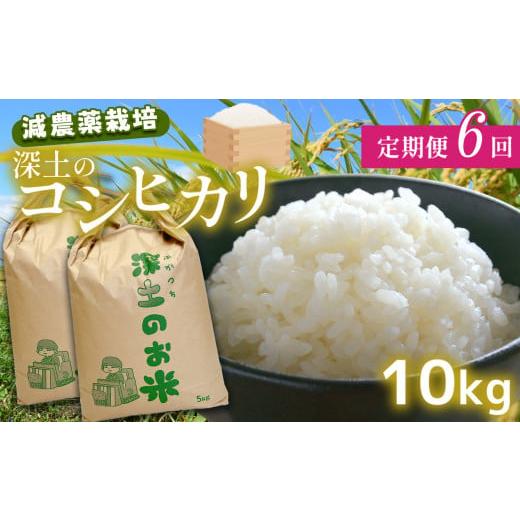 ふるさと納税 山口県 美祢市 定期便6回 深土の特別米コシヒカリ 10kg×6(2ヶ月毎×6回) 減農薬