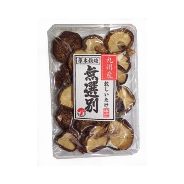 王将椎茸 九州産 椎茸 40g x10 メーカー直送