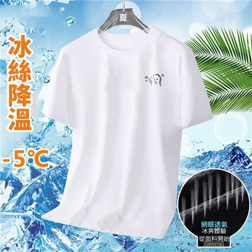 【台灣現貨】冰絲T 排汗衫 速乾衣 大尺碼速乾衣 短袖T恤冰絲上衣 短袖上衣 運動衫 吸濕排汗衣冰絲短袖 T恤 DFRN