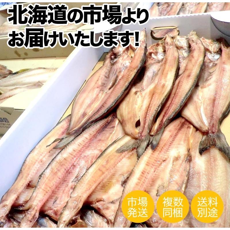 真ホッケ開き 1枚 300g前後 北海道 ほっけ ホッケ 真ほっけ ホッケ開き ほっけ開き 干物 開き魚 hokke 乾物 お歳暮 お正月