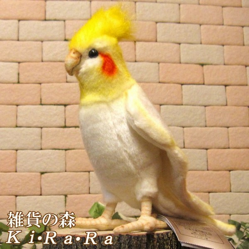 置物 動物 可愛い 鳥の ぬいぐるみ リアルな オカメインコ 置物 ルチノー インコ オブジェ インテリア トリ バード 通販 Lineポイント最大0 5 Get Lineショッピング