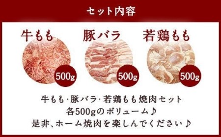 牛豚鶏 ミックス よくばり 焼肉 セット 各500g 計1.5kg