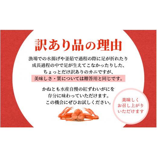 ふるさと納税 福井県 越前町 [e14-x003_03] 浜茹で 紅ずわいがに 2杯  大判干物「赤かれい・あじ」セット【越前産 紅ズワイガニ カニ かに 蟹 …