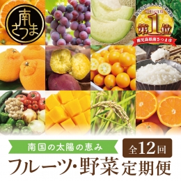 南国の恵み 旬のフルーツ・野菜定期便（全12回）