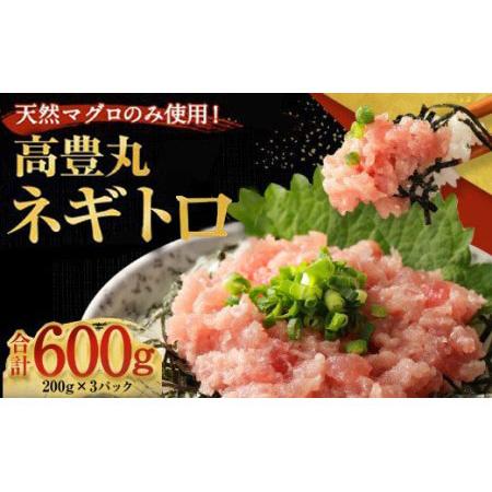 ふるさと納税 高豊丸ネギトロ６００ｇ 天然 鮪 マグロ 高知 まぐろたたき ねぎとろ 冷凍 小分け 便利 _tk002 高知県室戸市