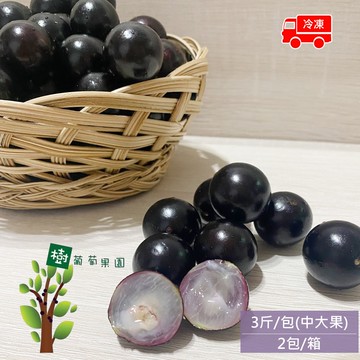 【優質嚴選】【樹葡萄果園】冷凍鮮採樹葡萄6斤x1箱(3斤/包_中大果_冷凍宅配_產地直送)，下訂後4個工作天內出貨