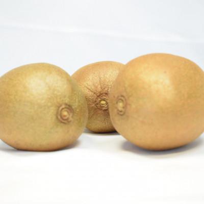 ふるさと納税 有田川町 キウイフルーツの新品種「東京ゴールド」約3kg(サイズ混合)