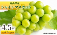 シャインマスカット 4～5房 合計2.0kg前後 岡山県産 葡萄 ぶどう 果物 フルーツ 2023年 先行予約