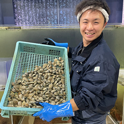 砂出し済み！ 北海道 厚岸産 北海あさり 2kgお届け (500g×4パック)  (各回2kg×3ヶ月分,合計約6kg)