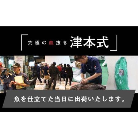 ふるさと納税 《津本式》西米良サーモン３尾 〜津本光弘本人仕立て〜 宮崎県宮崎市