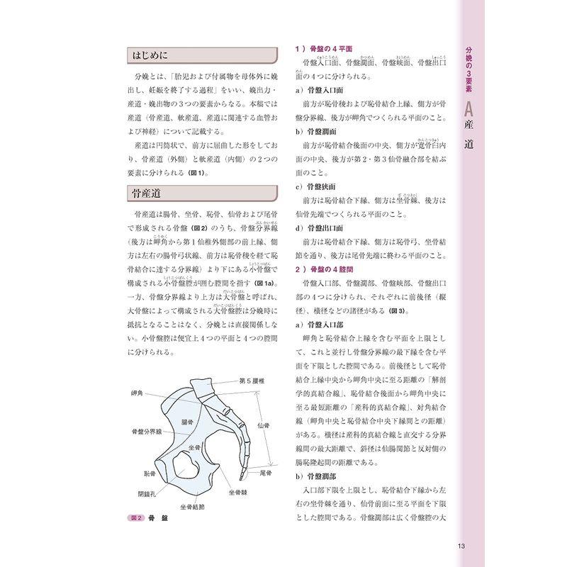 THE 分娩: ビジュアルで学ぶ 生理学・助産診断・分娩介助のすべて