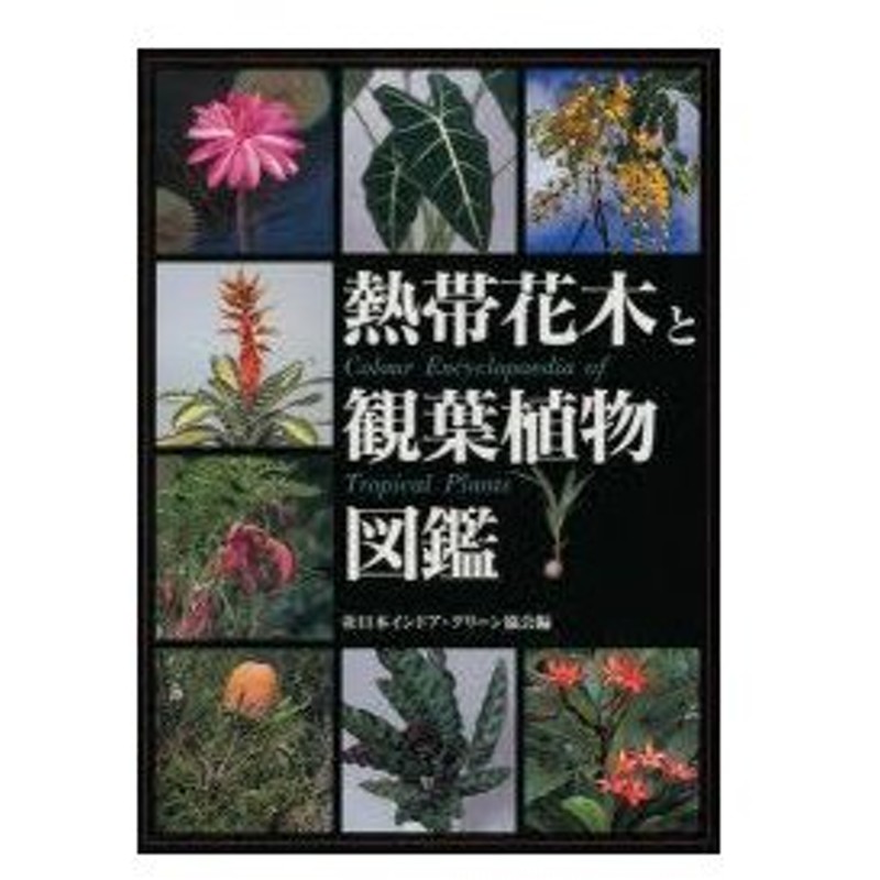 新品本 熱帯花木と観葉植物図鑑 日本インドア グリーン協会 編 通販 Lineポイント最大0 5 Get Lineショッピング