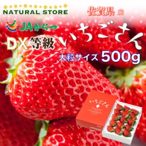 [予約 2024年2月11日-2月14日の納品] バレンタイン いちごさん 500g 化粧箱 デラックス 等級G or DX 佐賀県産 最高級 大粒 いちご