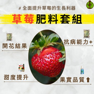 【草莓專家】 草莓 肥料套組 草莓肥料 肥料 開花肥 磷鉀肥 鈣肥 氮肥 磷肥 鉀肥 育苗 增甜肥 開根 黃葉 缺鈣