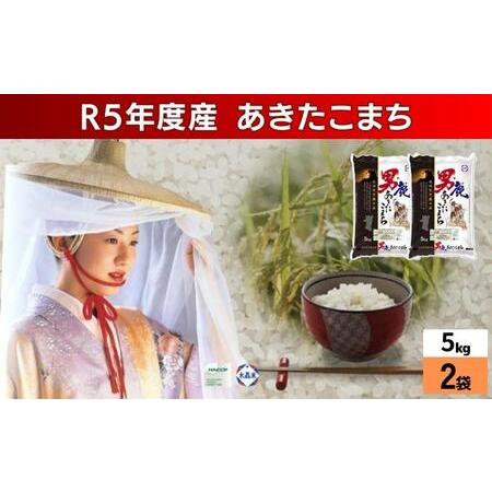 ふるさと納税 令和5年産 あきたこまち 精米 10kg 5kg×2袋 秋田県 男鹿市 秋田食糧卸販売 秋田県男鹿市