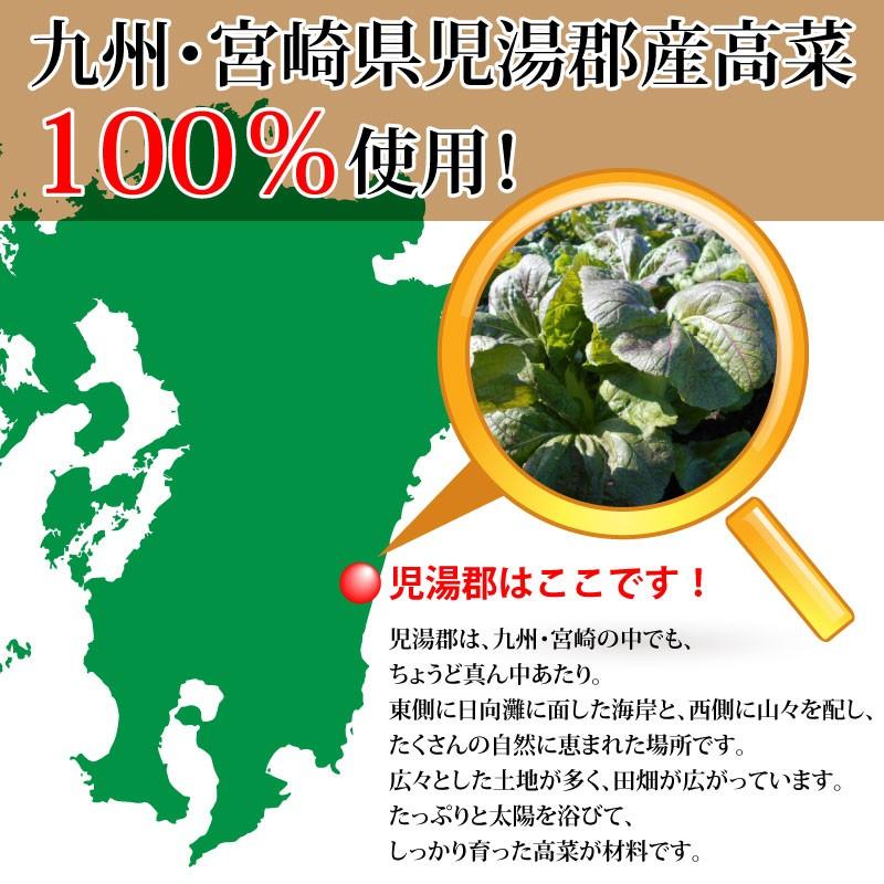 ＜からし高菜100g＞ 辛子高菜 たかな