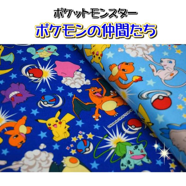 廃盤 Pocket Monsters ポケモンの仲間たち ポケットモンスター ポケモン 生地 布 入園入学 入園グッズ ピカチュー 通販 Lineポイント最大0 5 Get Lineショッピング