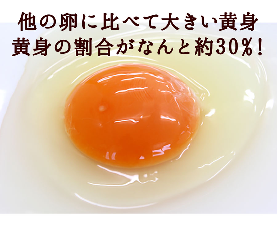 卵 新鮮たまご2種選べるお試しセット〔生卵合計30個入(生卵25個 破損保証5個)〕 玉子 高級 卵かけご飯