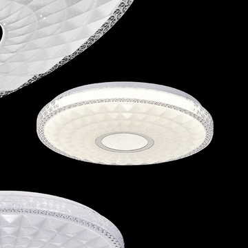 48W 單色吸頂燈  L01-2652B