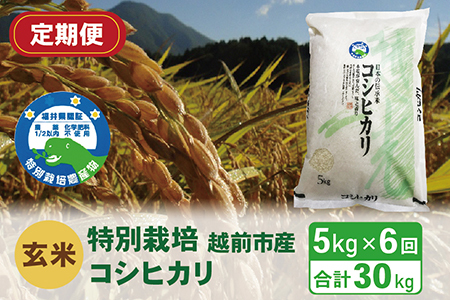 〈先行予約〉（令和5年度新米 玄米）特別栽培 越前市産コシヒカリ 5kg×6回