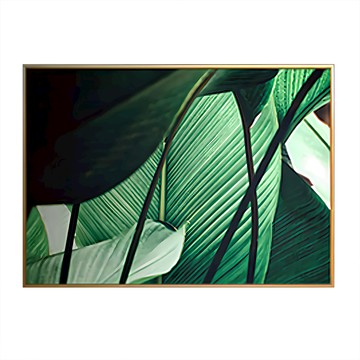 Boluo菠蘿選畫所 掛畫 夏日翡翠II  59.4 x 42cm  金色